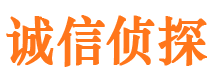 临高侦探社